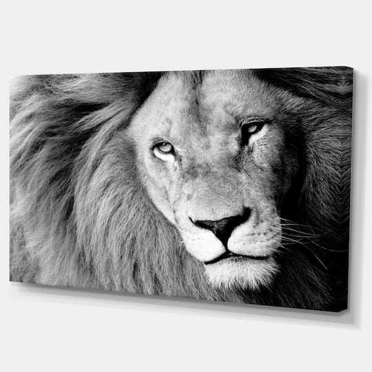 Designart - Lion Head in Grey